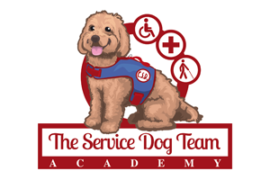 The Service Dog Team